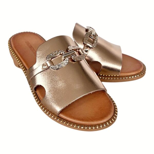 Photoroom_20260206_201723