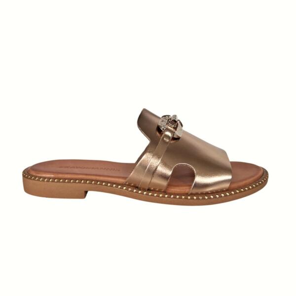 Photoroom_20260206_201813