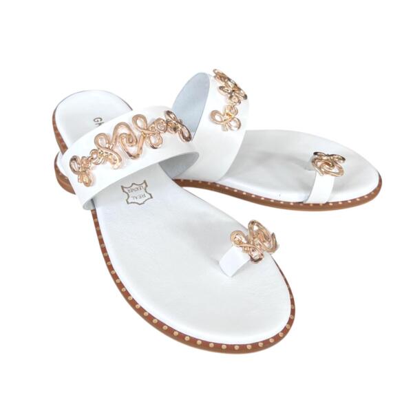 Photoroom_20260216_101548