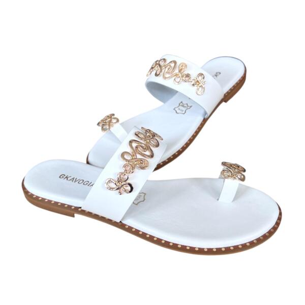 Photoroom_20260216_101610