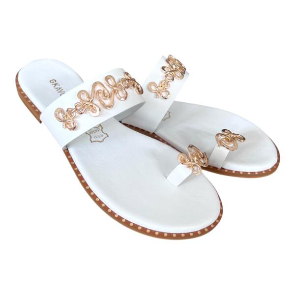 Photoroom_20260216_101719