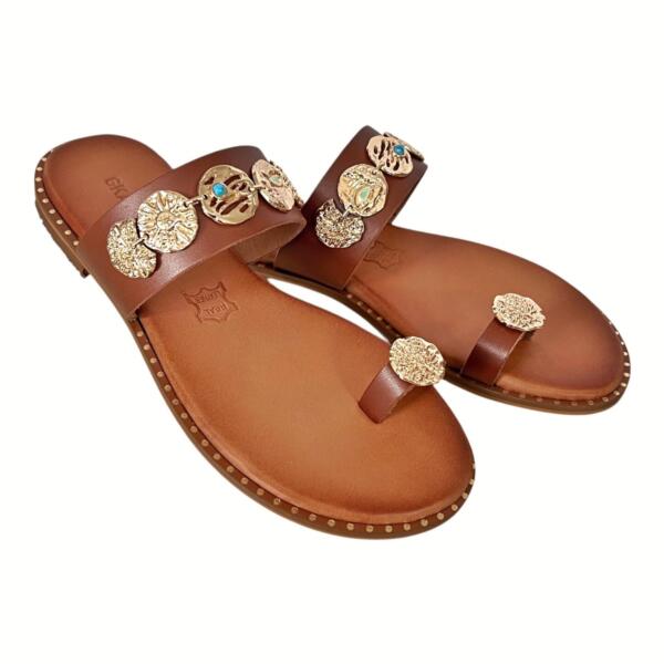 Photoroom_20260216_103203